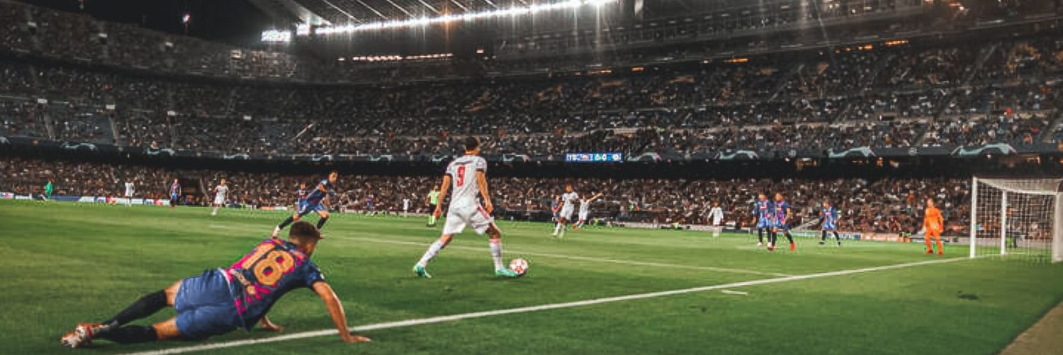 SNaliX 🇵🇱🇩🇪 banner