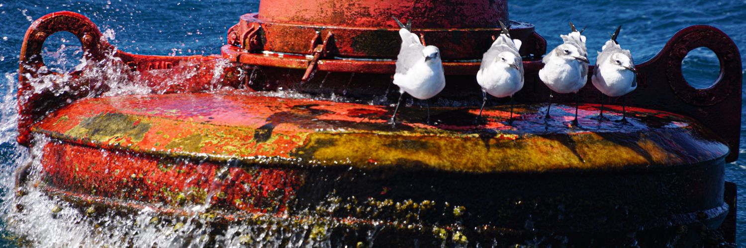 TheMareo's profile banner image