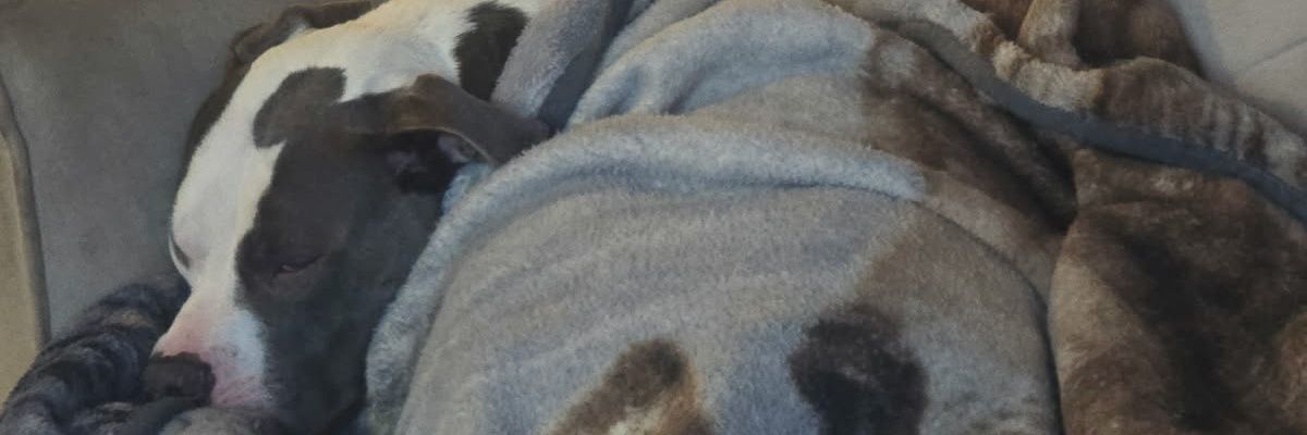 OldmangameZ banner
