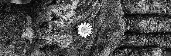 msjillnorth's profile banner image