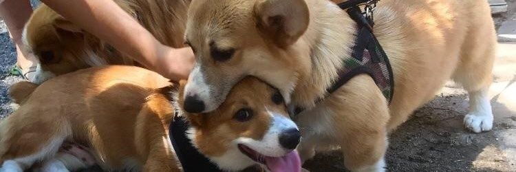 mr_manco's profile banner image