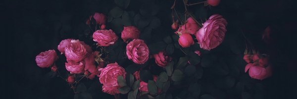 saraxsaurusrex Profile Banner