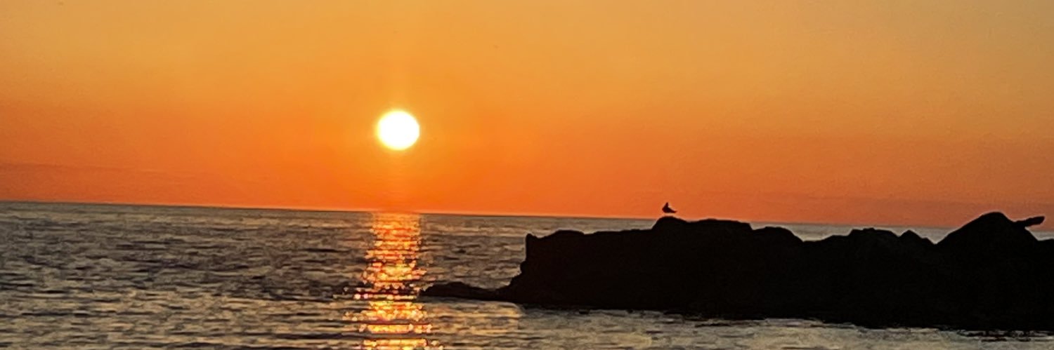 ChickenCarm07's profile banner image