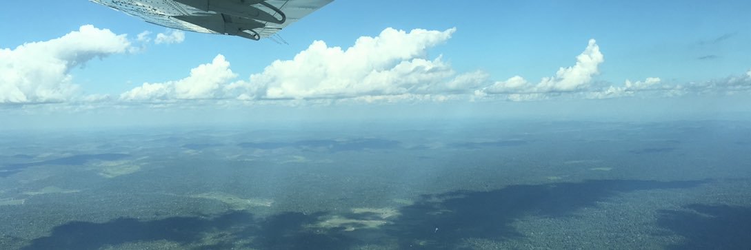 Gandja Monteiro banner