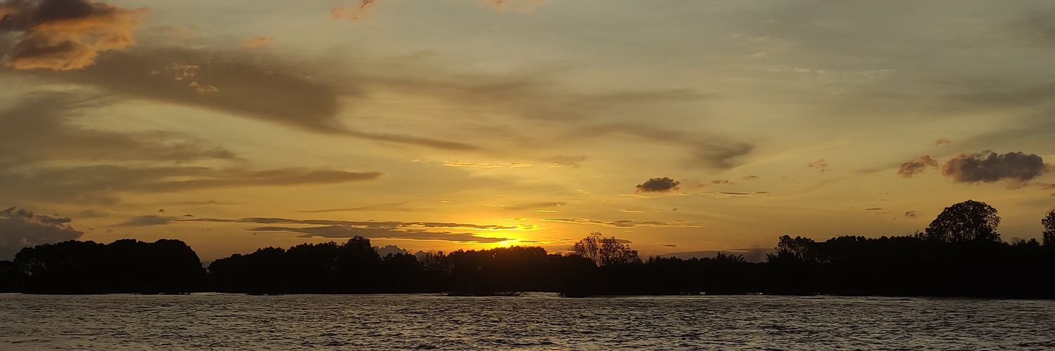 myfutureiscerah's profile banner image