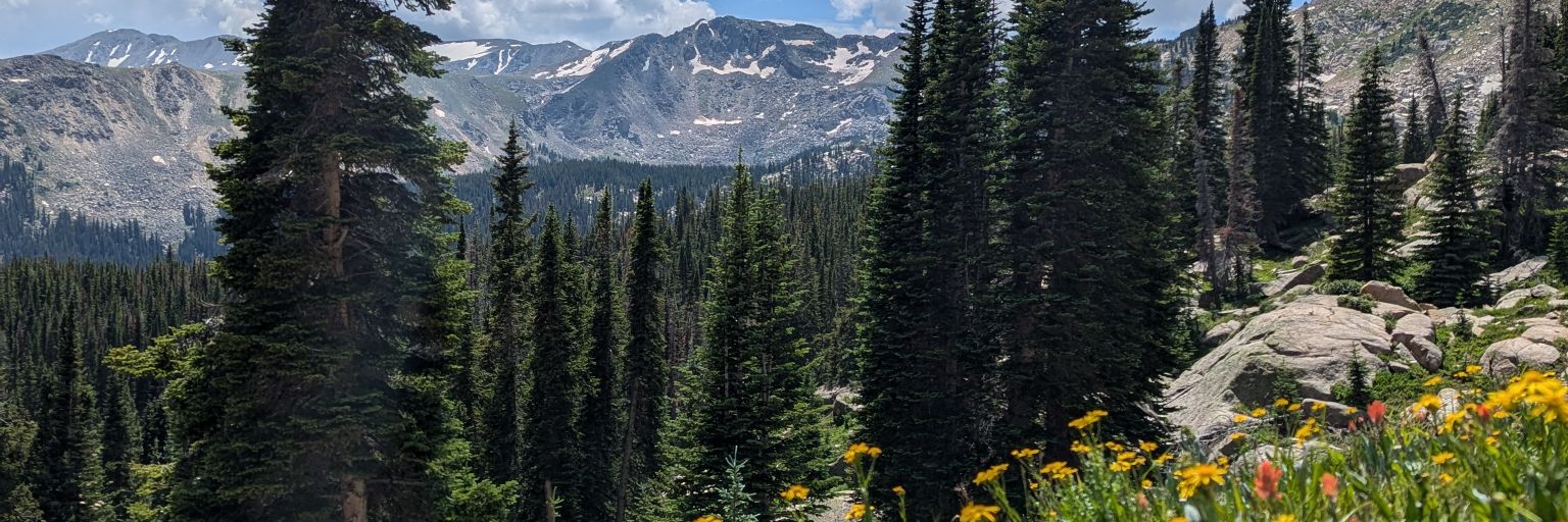 austinelder516's profile banner image