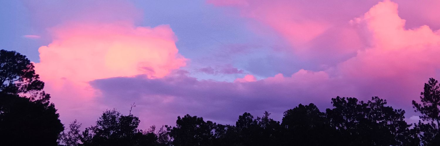 SiniclF's profile banner image