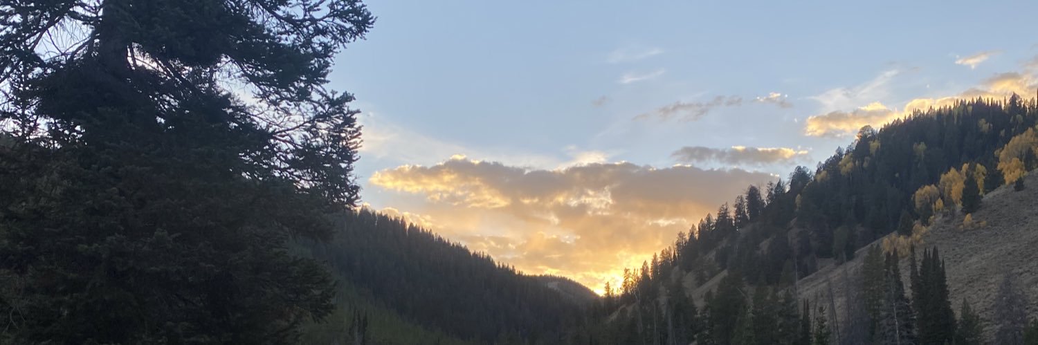 kayla_colohan's profile banner image