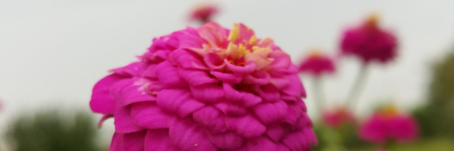 hhuss44's profile banner image