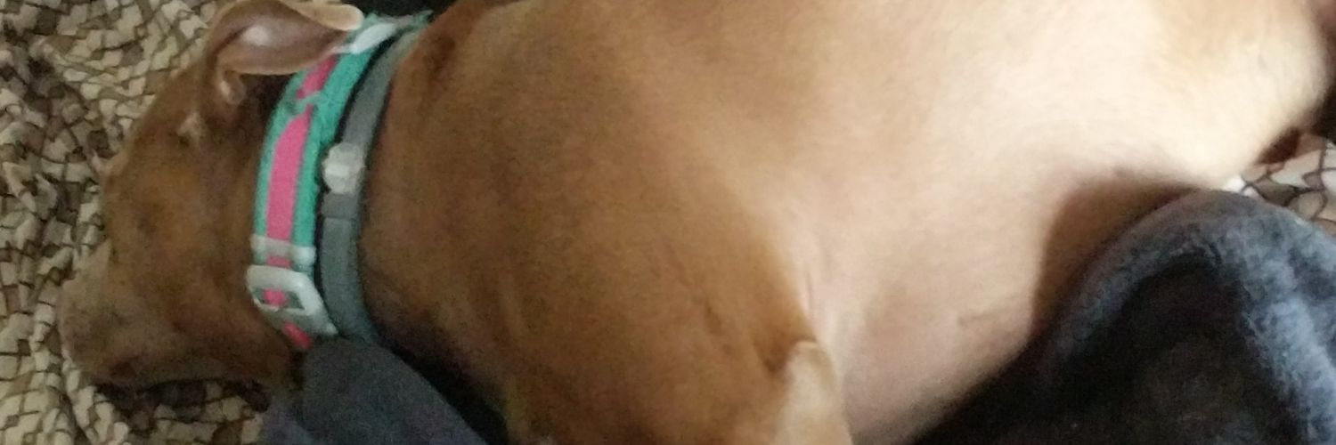 akflabbergasted's profile banner image