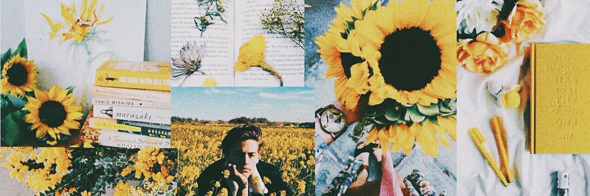 joanna_catropa's profile banner image