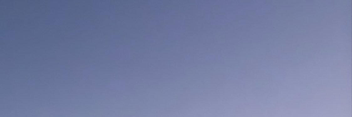 luzdeviel's profile banner image