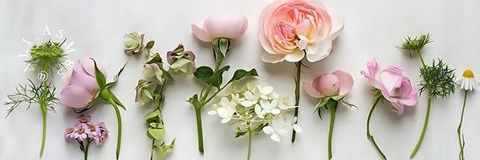 GiGi_Rogy's profile banner image