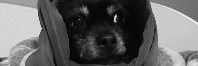 cattaa30's profile banner image