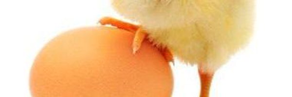 sofi_cell Profile Banner