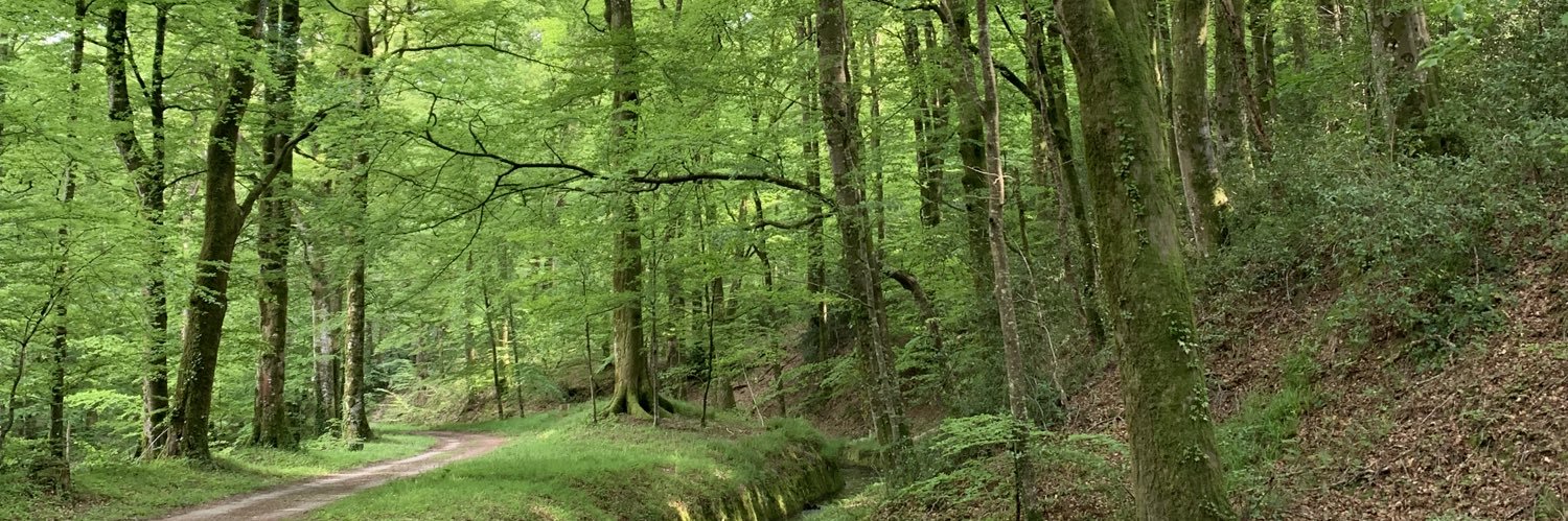 AM Vestergaard banner