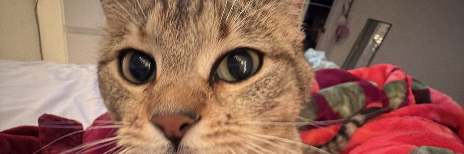 a_lyssa69's profile banner image