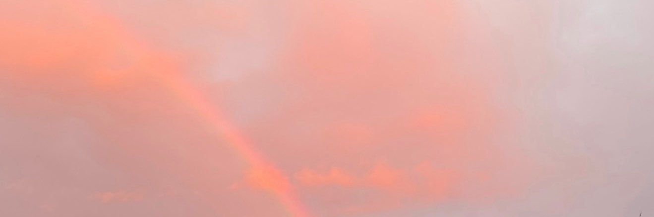 nilay_cafer's profile banner image