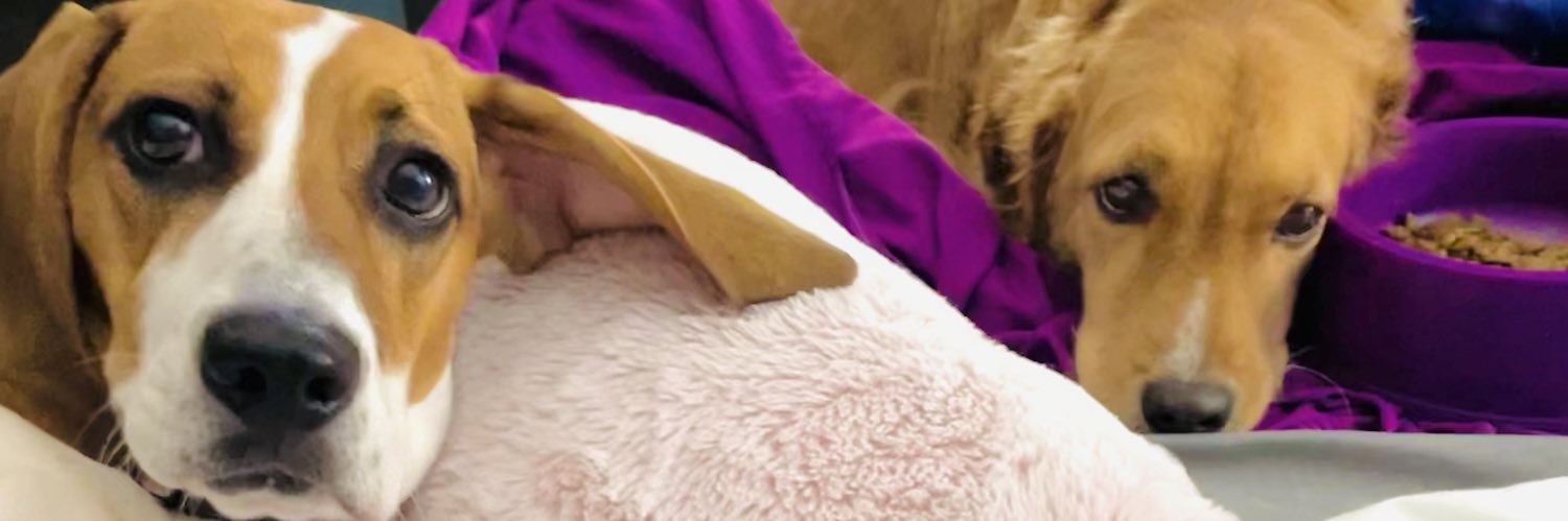 millanfer15's profile banner image