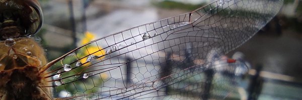 Venkat3681 Profile Banner