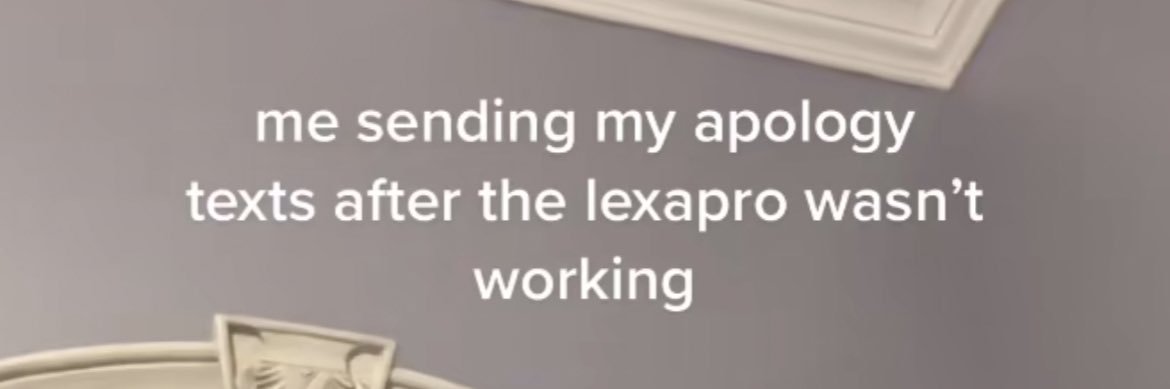 lil toasty buns banner