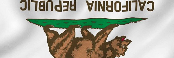 CobraKel Profile Banner