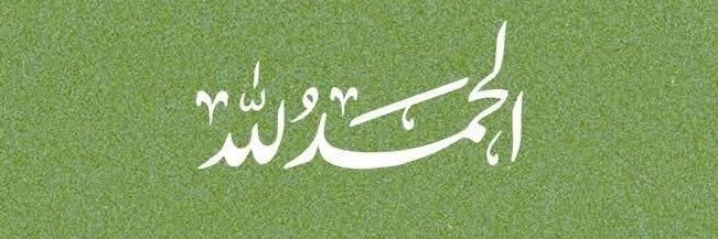 vx_4g's profile banner image