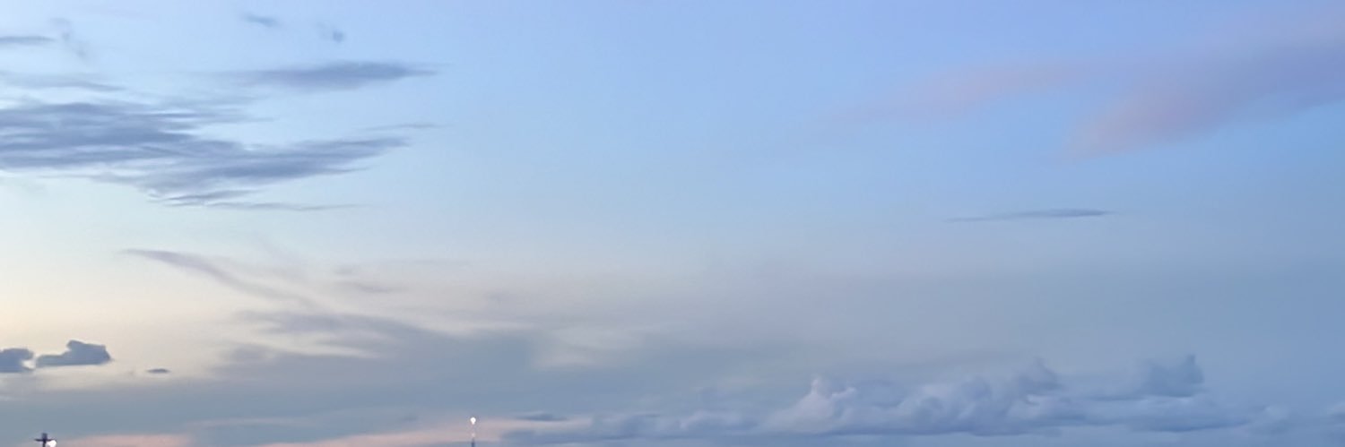 zukkiinyom's profile banner image