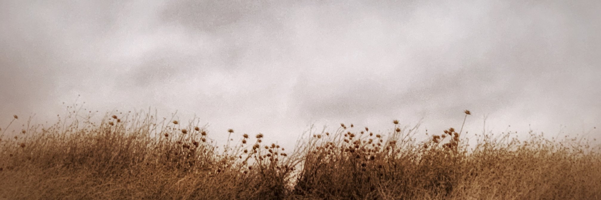 Light_Imagery's profile banner image