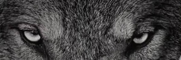 bejn565 Profile Banner