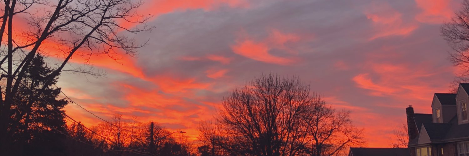 StephHodges4's profile banner image