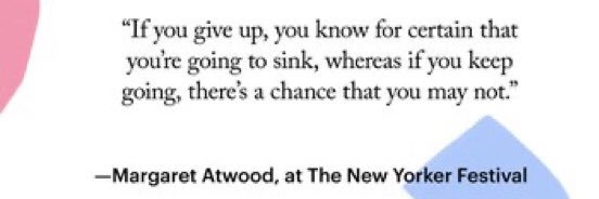 Lara Capybara RN 🌈 banner
