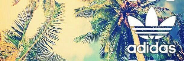 wj_97's profile banner image