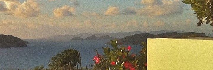 𝒃𝒖𝒂 banner