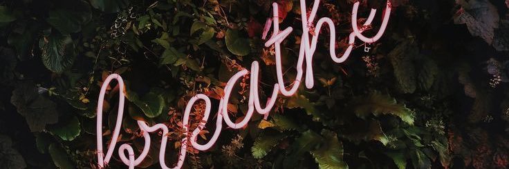 Cblomberg56's profile banner image