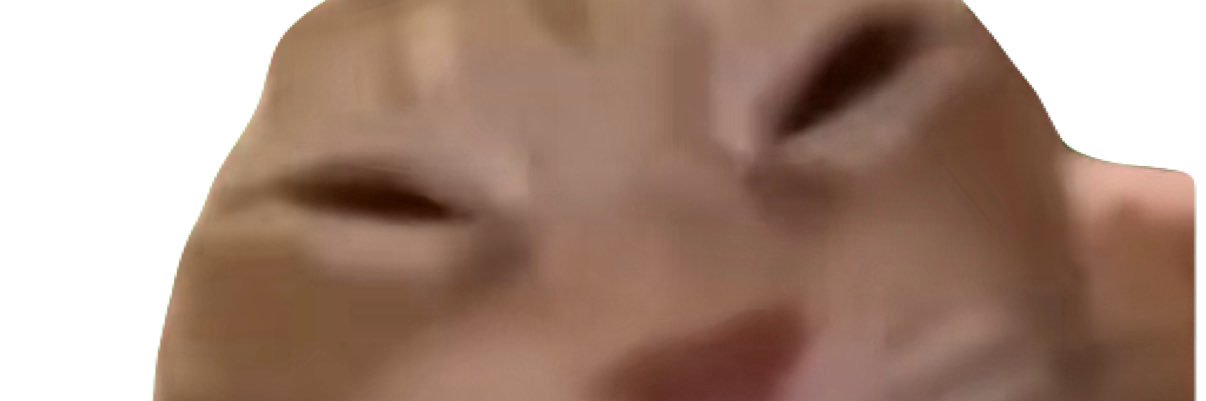 しのののめ banner