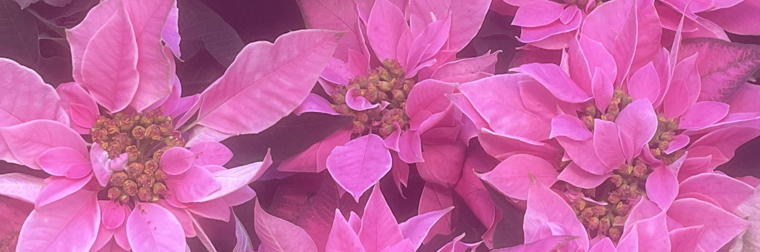 HubbaHubba__'s profile banner image