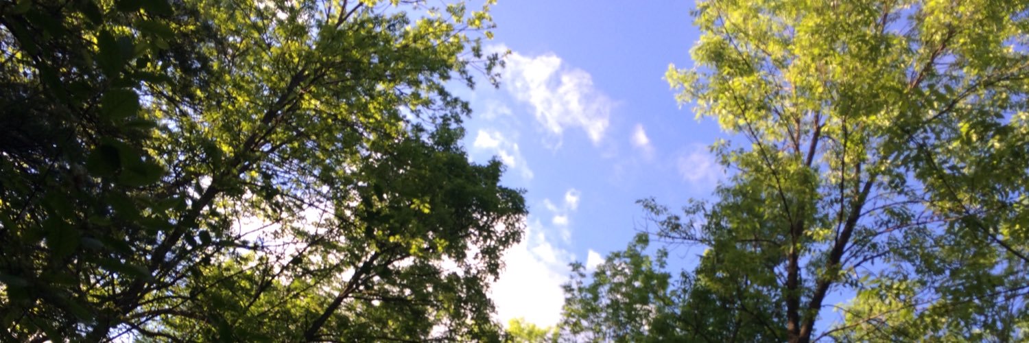 hamannenbach's profile banner image