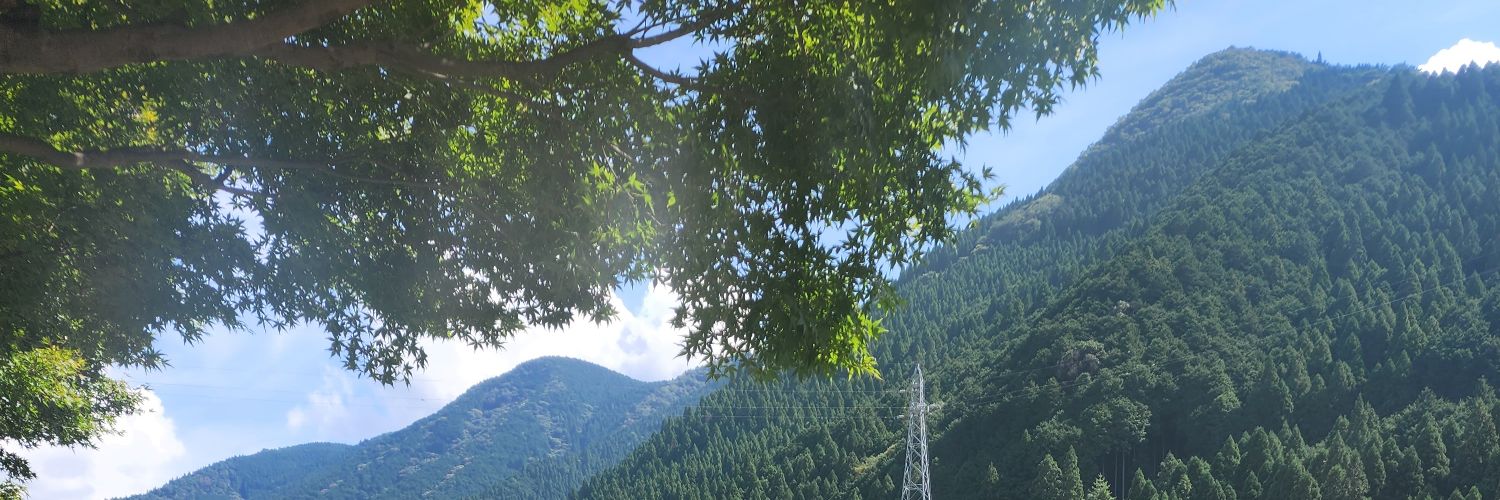 koban306's profile banner image
