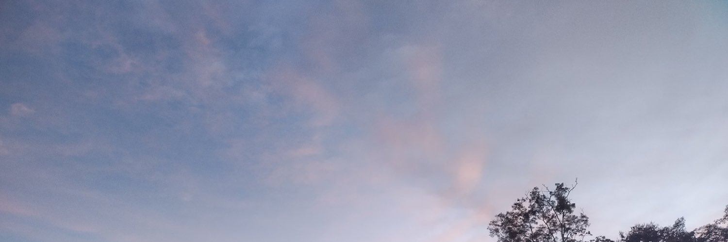 narongchaibell's profile banner image