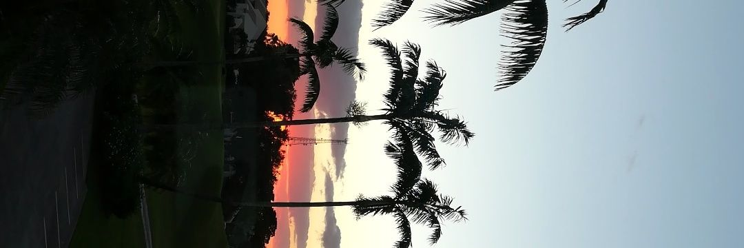 _beatzz's profile banner image