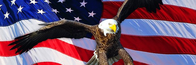 Craig L. Ph.D. banner