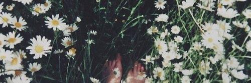 Bianscorza's profile banner image