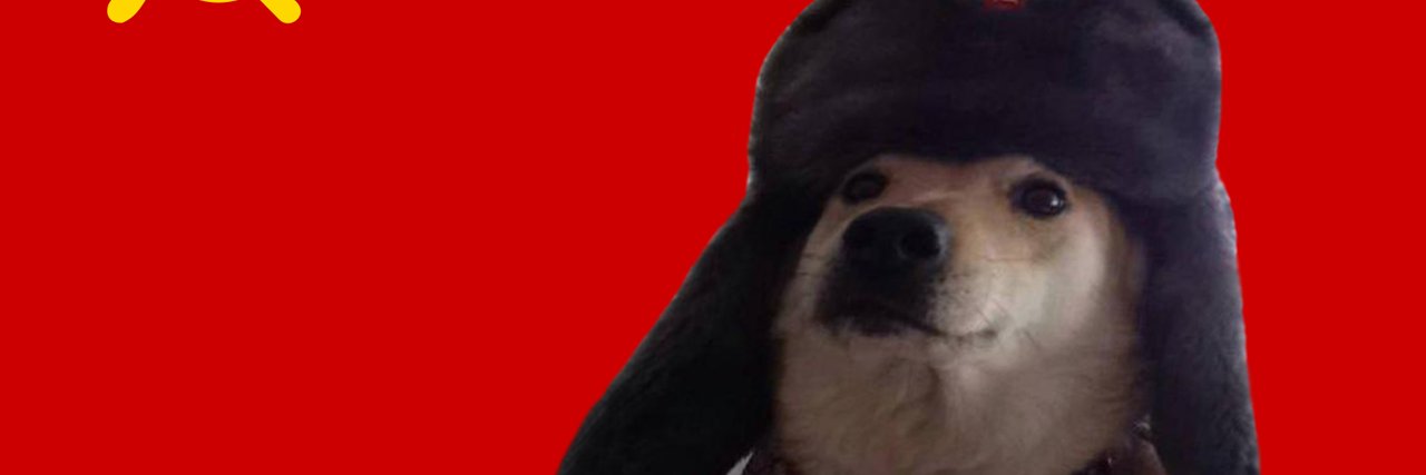 Stiven Spilberga banner