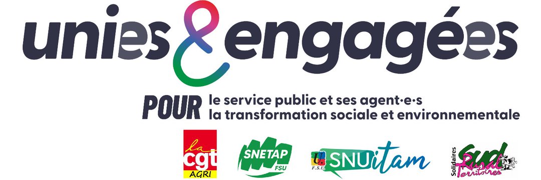 regis.martinage.snetap banner