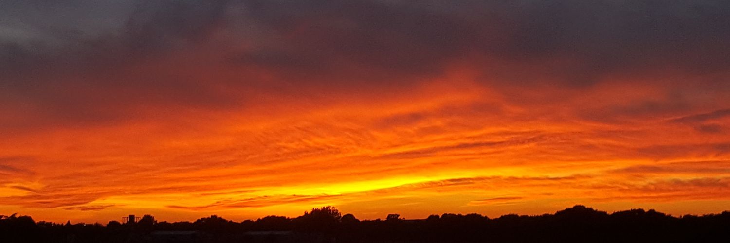 Save Warren Farm banner