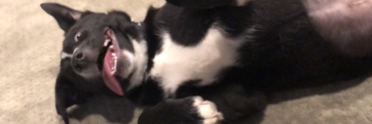 BarefootJesse's profile banner image