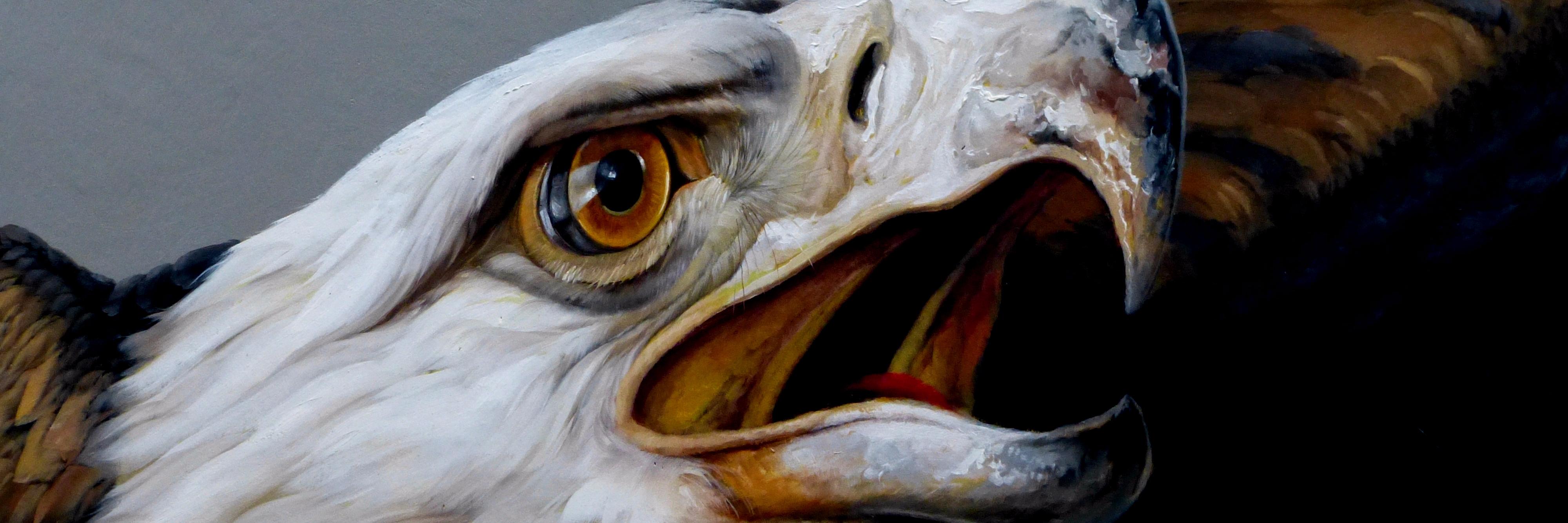 ProbalC's profile banner image
