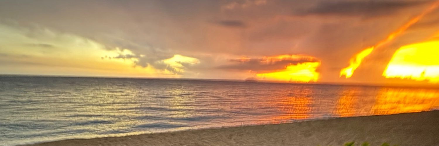 salMELenaa's profile banner image