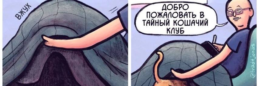 rianerdie's profile banner image